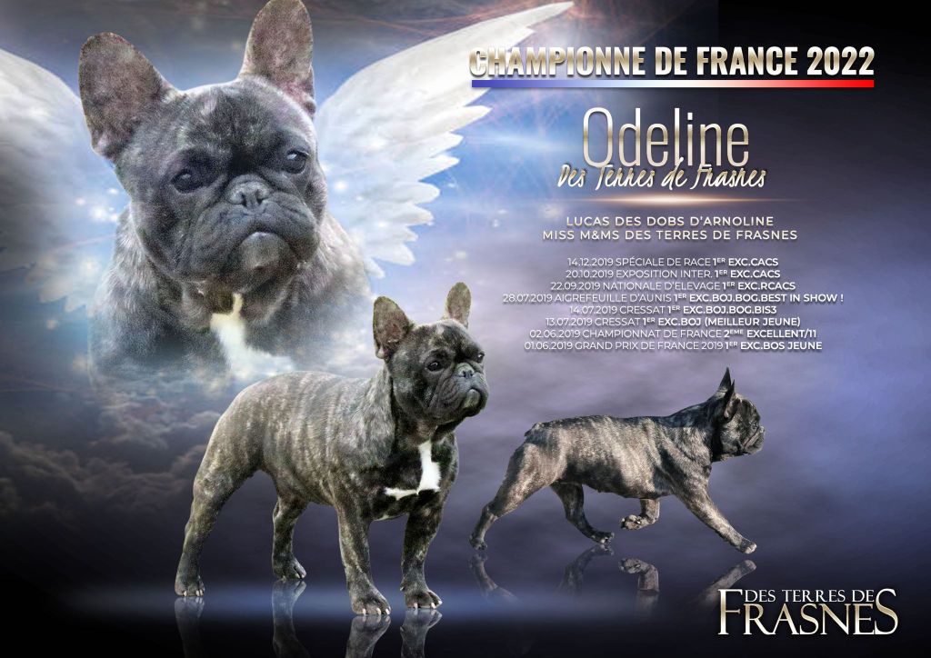 CH. Odeline Des Terres De Frasnes