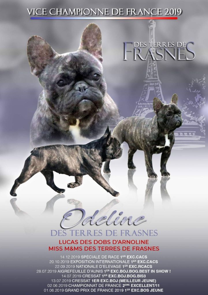 CH. Odeline Des Terres De Frasnes