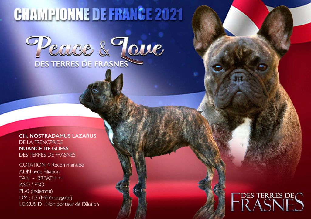 CH. Peace & love Des Terres De Frasnes