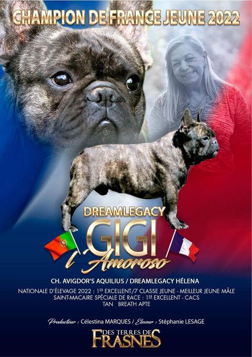 CH. dreamlegacy Gigi l'amoroso