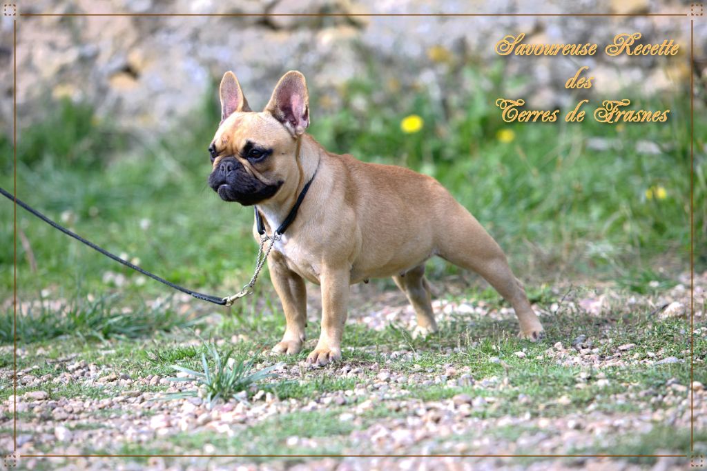 Savoureuse recette Des Terres De Frasnes