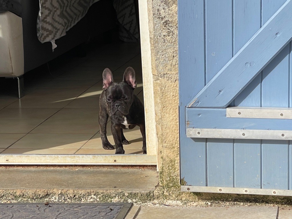 Photo de ugo et Una 14/04/24