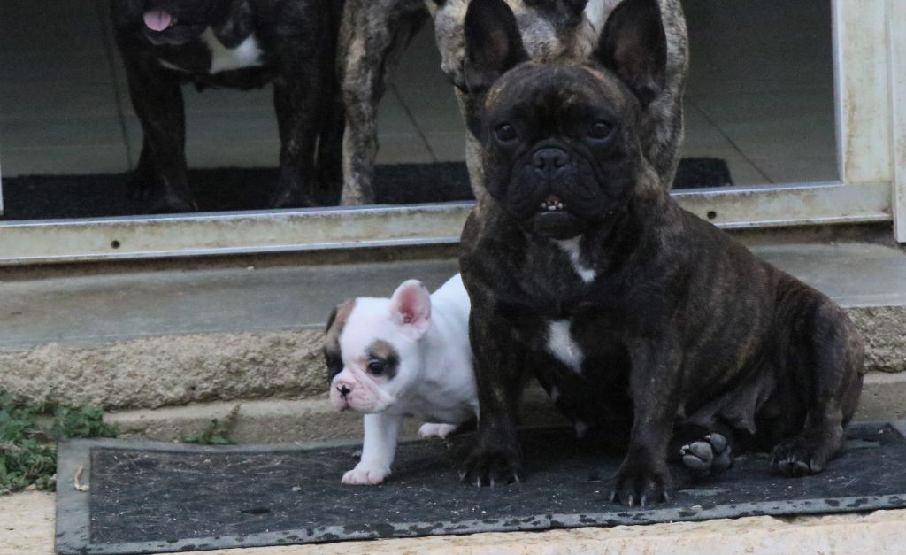 les bébés à la maison