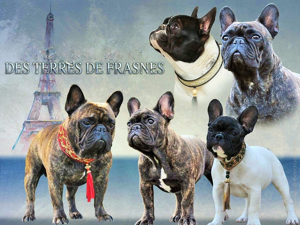 Des Terres De Frasnes